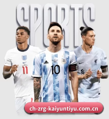 五大服务分区,信息按项目分类