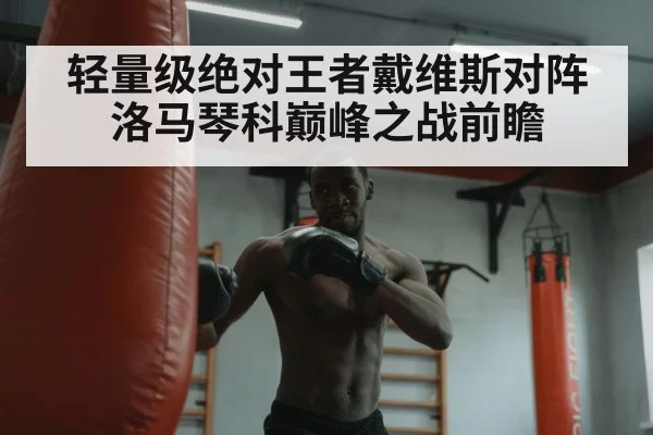 轻量级绝对王者戴维斯对阵洛马琴科巅峰之战前瞻